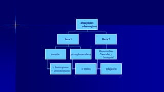 Receptores
adrenergicos
Beta 1
corazón
> Inotropismo
> cronotropismo
yuxtaglomerulares
> renina
Beta 2
Músculo liso
Vascular y
bronquial
relajación
 