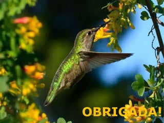 OBRIGADA!
 