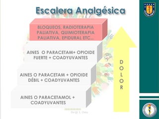 Dr.Qf. L. Ortiz
2
AINES O PARACETAMOL +
COADYUVANTES
AINES O PARACETAM + OPIOIDE
DÉBIL + COADYUVANTES
AINES O PARACETAM+ OPIOIDE
FUERTE + COADYUVANTES
D
O
L
O
R
BLOQUEOS, RADIOTERAPIA
PALIATIVA, QUIMIOTERAPIA
PALIATIVA, EPIDURAL ETC...
 