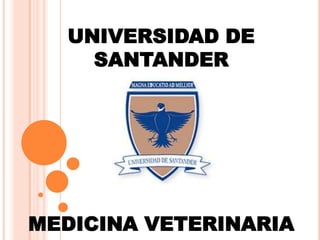 UNIVERSIDAD DE
SANTANDER
MEDICINA VETERINARIA
 