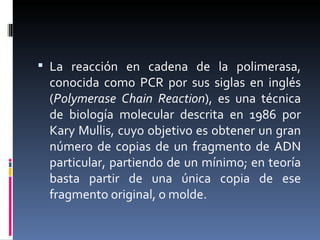 La reacción en cadena de la polimerasa, conocida como PCR por sus siglas en inglés ( Polymerase Chain Reaction ), es una técnica de biología molecular descrita en 1986 por Kary Mullis, cuyo objetivo es obtener un gran número de copias de un fragmento de ADN particular, partiendo de un mínimo; en teoría basta partir de una única copia de ese fragmento original, o molde. 