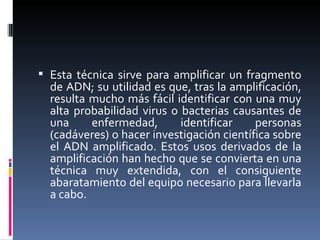 Esta técnica sirve para amplificar un fragmento de ADN; su utilidad es que, tras la amplificación, resulta mucho más fácil identificar con una muy alta probabilidad virus o bacterias causantes de una enfermedad, identificar personas (cadáveres) o hacer investigación científica sobre el ADN amplificado. Estos usos derivados de la amplificación han hecho que se convierta en una técnica muy extendida, con el consiguiente abaratamiento del equipo necesario para llevarla a cabo. 