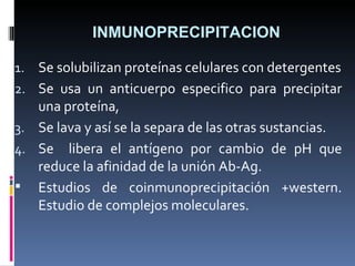 INMUNOPRECIPITACION Se solubilizan proteínas celulares con detergentes Se usa un anticuerpo especifico para precipitar una proteína,  Se lava y así se la separa de las otras sustancias.  Se  libera el antígeno por cambio de pH que reduce la afinidad de la unión Ab-Ag. Estudios de coinmunoprecipitación +western.   Estudio de complejos moleculares. 