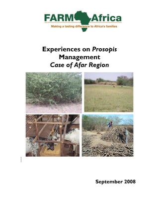 Experiences on Prosopis
    Management
  Case of Afar Region




                September 2008
 