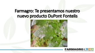 Farmagro: Te presentamos nuestro
nuevo producto DuPont Fontelis
 