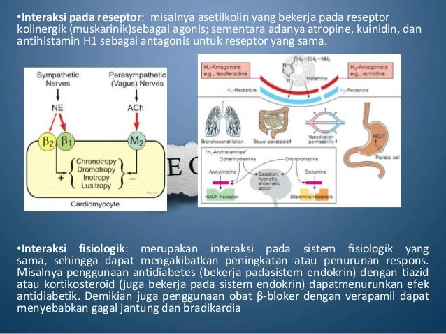 Farmakodinamik interaksi obat fauzi al amrie Farmakodinamik interaksi obat fauzi al amrie