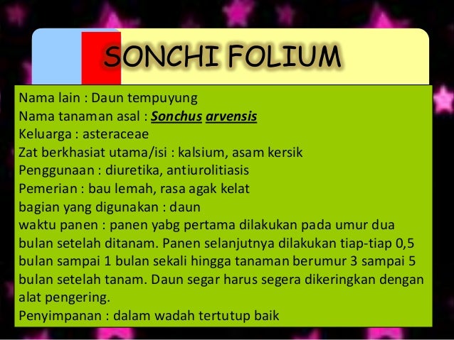 Farmakognosi Folium Farmakognosi Folium