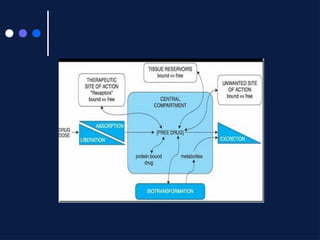 Comprehensive Overview of Pharmacokinetics: Absorption, Distribution ...