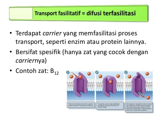 Farmakologi umum 1
