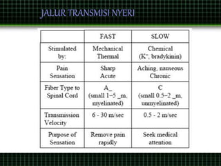 JALUR TRANSMISI NYERI
 