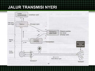 JALUR TRANSMISI NYERI
 