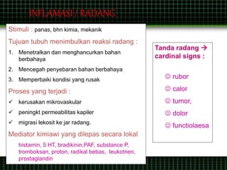 Stimuli : panas, bhn kimia, mekanik
Tujuan tubuh menimbulkan reaksi radang :
1. Menetralkan dan menghancurkan bahan
berbahaya
2. Mencegah penyebaran bahan berbahaya
3. Memperbaiki kondisi yang rusak
Proses yang terjadi :
 kerusakan mikrovaskular
 peningkt permeabilitas kapiler
 migrasi lekosit ke jar radang.
Mediator kimiawi yang dilepas secara lokal
histamin, 5 HT, bradikinin,PAF, substance P,
tromboksan, proton, radikal bebas, leukotrien,
prostaglandin
INFLAMASI / RADANG
Tanda radang 
cardinal signs :
 rubor
 calor
 tumor,
 dolor
 functiolaesa
 