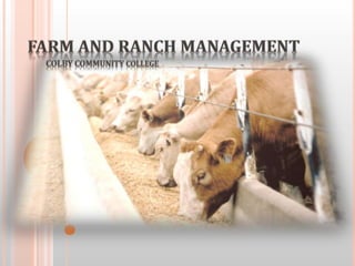 Farm and Ranch Management