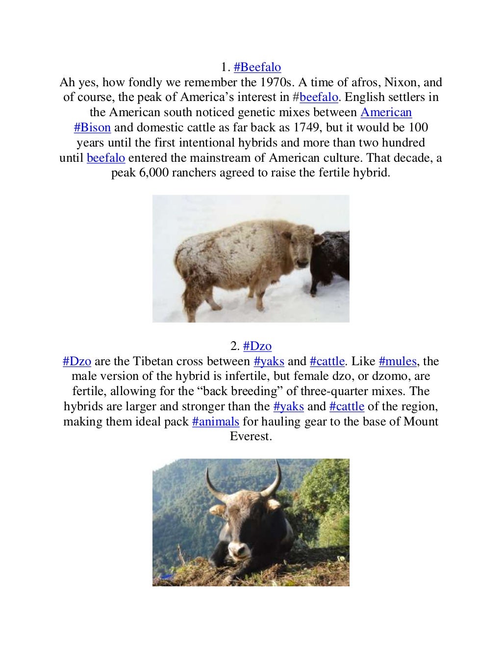 10 Farm Animal Hybrids You Didn't Know Existed