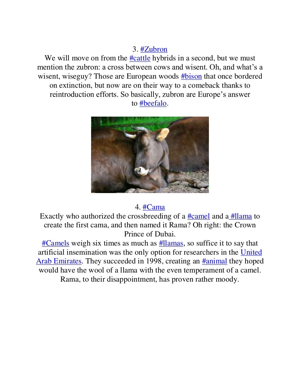 10 Farm Animal Hybrids You Didn't Know Existed