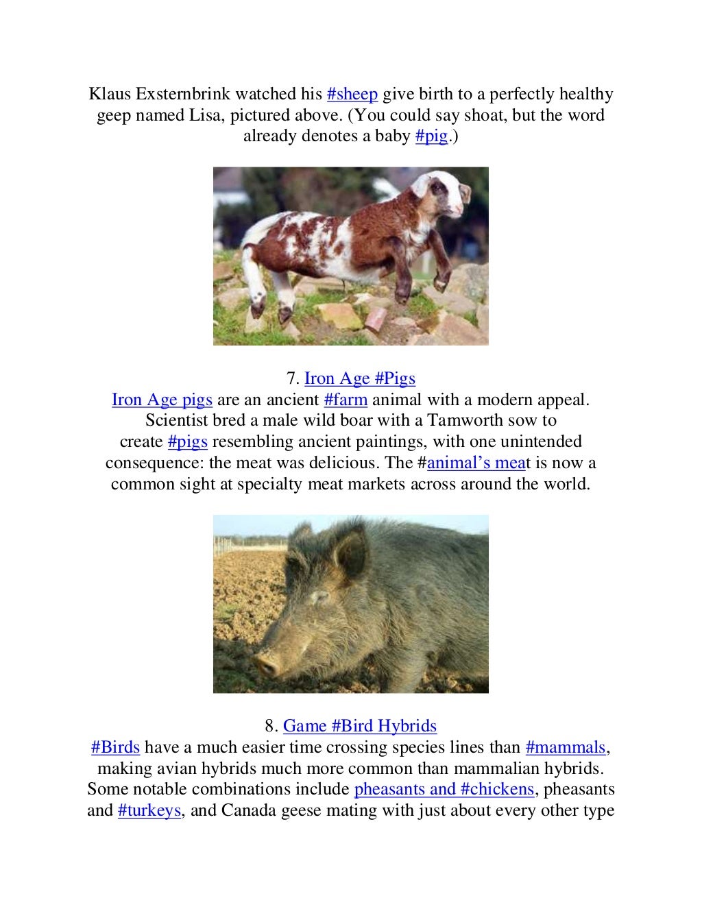10 Farm Animal Hybrids You Didn't Know Existed