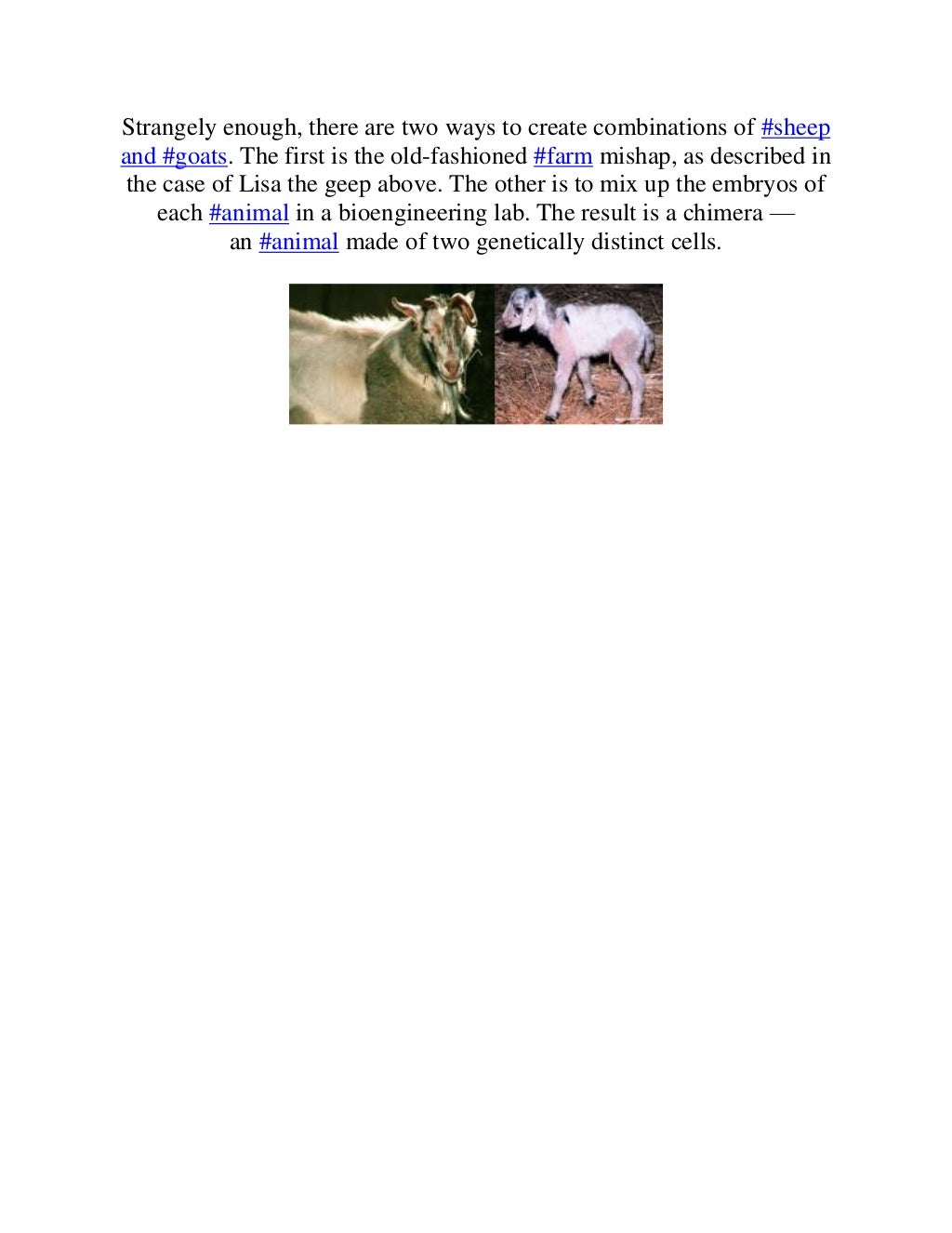 10 Farm Animal Hybrids You Didn't Know Existed