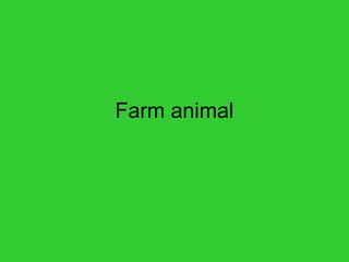 Farm animal
 