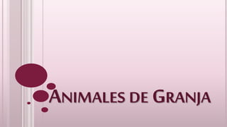 ANIMALES DE GRANJA
 