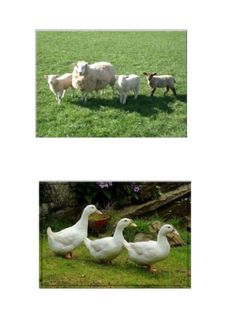 80010121920<br />17145027305<br />26289033020<br />44577027305<br />-209550164465<br />-133350288290<br />445770245110<br />44577071755<br />-4191081280<br />4953026035<br />201930271145<br />201930173990<br />49530-45720<br />