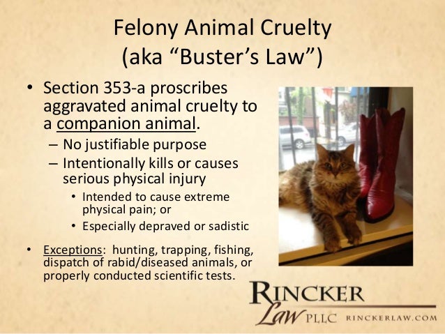 ohio animal age selling law