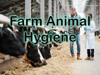 Farm Animal
Hygiene
Farm Animal Hygiene 1
 