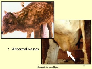 Farm Animal Hygiene - Introduction and Identification of Sick animals.pdf