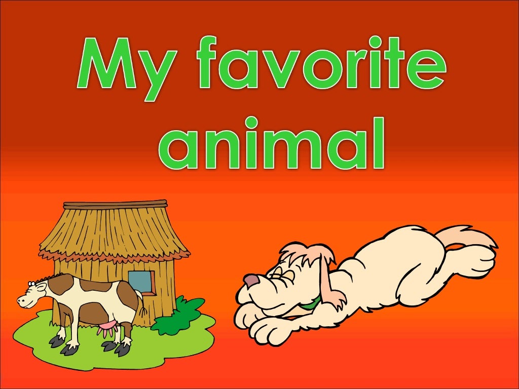 My favorite animal