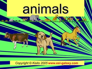 animals


Copyright © Kisito 2005 www.esl-galaxy.com
 
