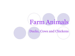 Farm Animals Ducks, Cows and Chickens