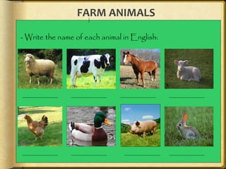 Farm animals | PPT