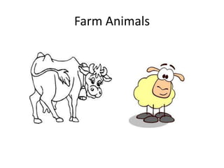 Farm Animals
 