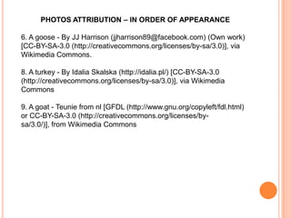 PHOTOS ATTRIBUTION – IN ORDER OF APPEARANCE
6. A goose - By JJ Harrison (jjharrison89@facebook.com) (Own work)
[CC-BY-SA-3.0 (http://creativecommons.org/licenses/by-sa/3.0)], via
Wikimedia Commons.
8. A turkey - By Idalia Skalska (http://idalia.pl/) [CC-BY-SA-3.0
(http://creativecommons.org/licenses/by-sa/3.0)], via Wikimedia
Commons
9. A goat - Teunie from nl [GFDL (http://www.gnu.org/copyleft/fdl.html)
or CC-BY-SA-3.0 (http://creativecommons.org/licenses/bysa/3.0/)], from Wikimedia Commons

 