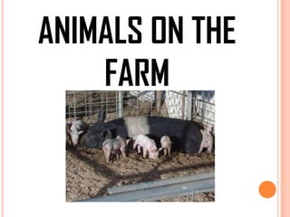 ANIMALS ON THE
FARM

 