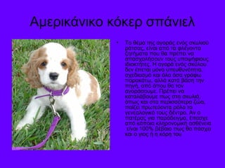 Αμερικάνικο κόκερ σπάνιελ 
• Το θέμα της αγοράς ενός σκυλιού 
ράτσας, είναι από τα φλέγοντα 
ζητήματα που θα πρέπει να 
απασχολήσουν τους υποψήφιους 
ιδιοκτήτες. Η αγορά ενός σκύλου 
δεν έπεται μόνο υπευθυνότητα, 
σχεδιασμό και όλα όσα γράφω 
παρακάτω, αλλά κατά βάση την 
πηγή, από όπου θα τον 
αγοράσουμε. Πρέπει να 
καταλάβουμε πως στα σκυλιά, 
όπως και στα περισσότερα ζώα, 
παίζει πρωτεύοντα ρόλο το 
γενεαλογικό τους δέντρο. Αν ο 
πατέρας για παράδειγμα, έπασχε 
από κάποια κληρονομική ασθένεια 
είναι 100% βέβαιο πως θα πάσχει 
και ο γιος ή η κόρη του 
 
