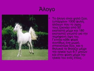 Άλογο 
• Το άλογο είναι ψηλό ζώο, 
(υπάρχουν 1000 φυλές 
αλόγων που το ύψος 
τους ξεκινάει από 50 
εκατοστά μέχρι και 180 
εκατοστά) γνωστό για την 
περήφανη όψη του. 
Γεννάει κάθε φορά 
συνήθως ένα μωρό, 
σπανιότερα δύο, και η 
θηλυκιά τα θηλάζει μέχρι 
την ηλικία των 6-7 μηνών 
και στην φύση μέχρι την 
ηλικία του ενός έτους. 
 