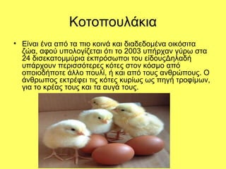 Κοτοπουλάκια 
• Είναι ένα από τα πιο κοινά και διαδεδομένα οικόσιτα 
ζώα, αφού υπολογίζεται ότι το 2003 υπήρχαν γύρω στα 
24 δισεκατομμύρια εκπρόσωποι του είδουςΔηλαδή 
υπάρχουν περισσότερες κότες στον κόσμο από 
οποιοδήποτε άλλο πουλί, ή και από τους ανθρώπους. Ο 
άνθρωπος εκτρέφει τις κότες κυρίως ως πηγή τροφίμων, 
για το κρέας τους και τα αυγά τους. 
 