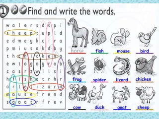 fish mouse bird
frog spider lizard chicken
cow duck goat sheep