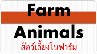 Farm
Animals
สัตว์เลี้ยงในฟาร์ม
 