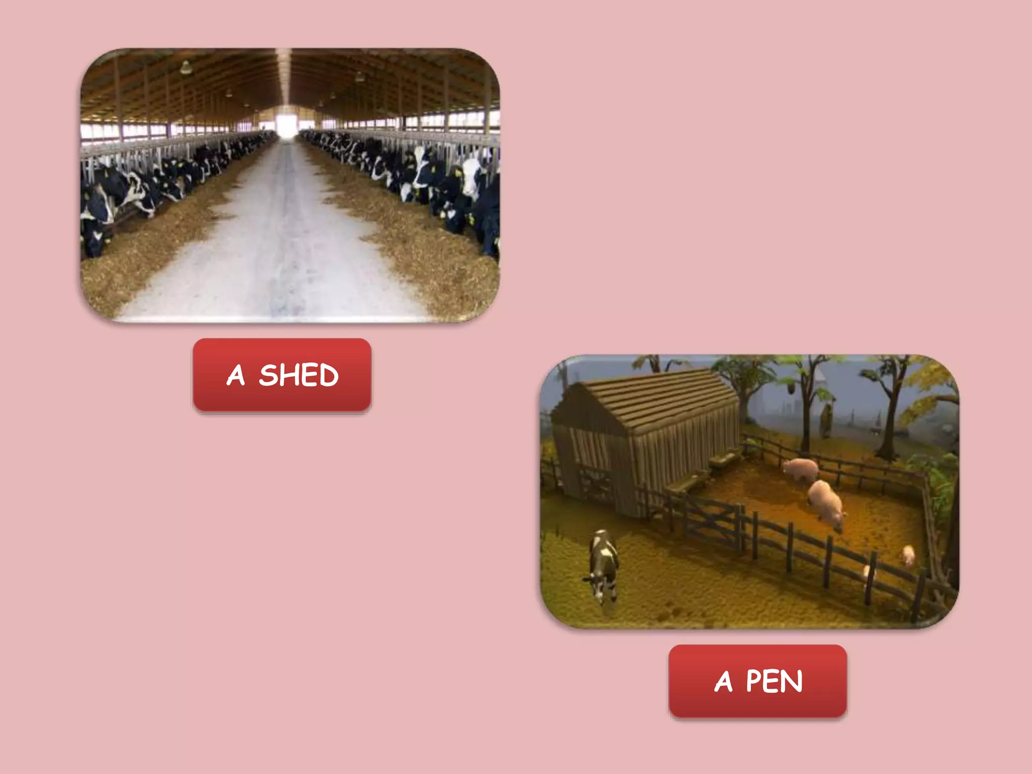 A SHED
A PEN