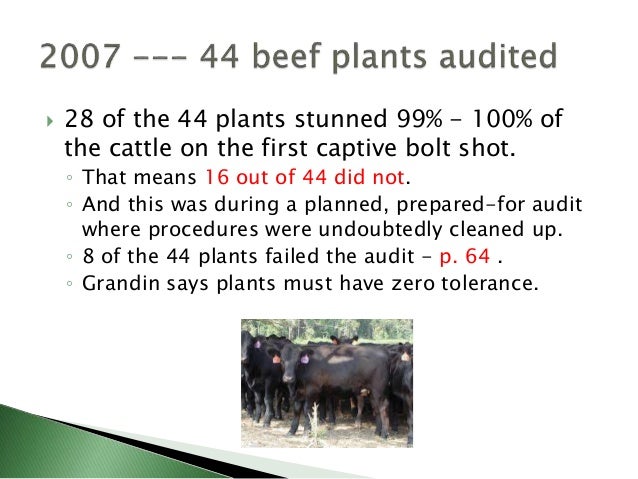 animal production synonym animal production synonym