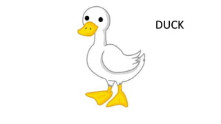 DUCK
 