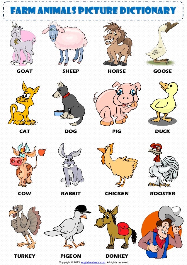 Dog And Cat Spanish Lesson Cartoon Dog And Cat Spanish Lesson Cartoon