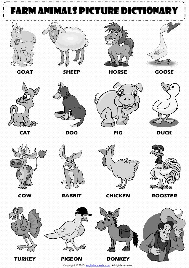 Farm animals pictionary 1 worksheet