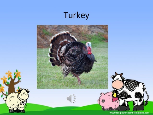 farm animals powerpoint