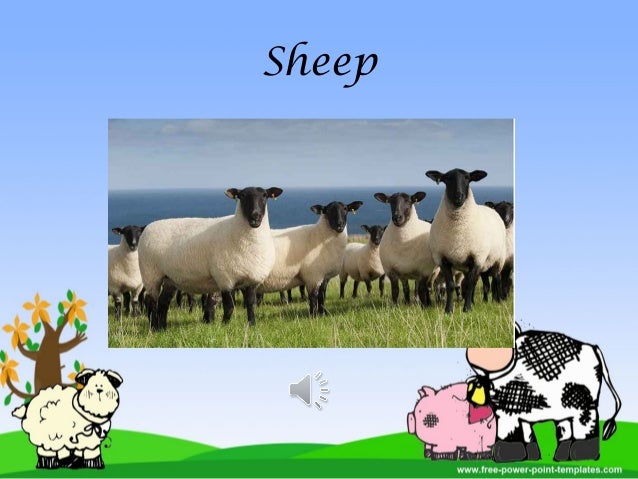 farm animals powerpoint