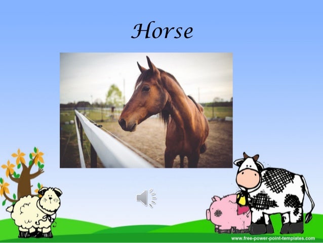 farm animals powerpoint