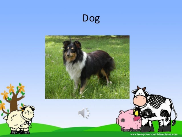 farm animals powerpoint