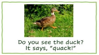 Do you see the duck?
It says, “quack!”
 