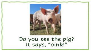 Do you see the pig?
It says, “oink!”
 